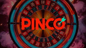 Все, что нужно знать о приложении pinco на андроид