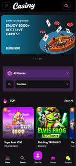 Exploring the World of Casiny Slots A Comprehensive Guide